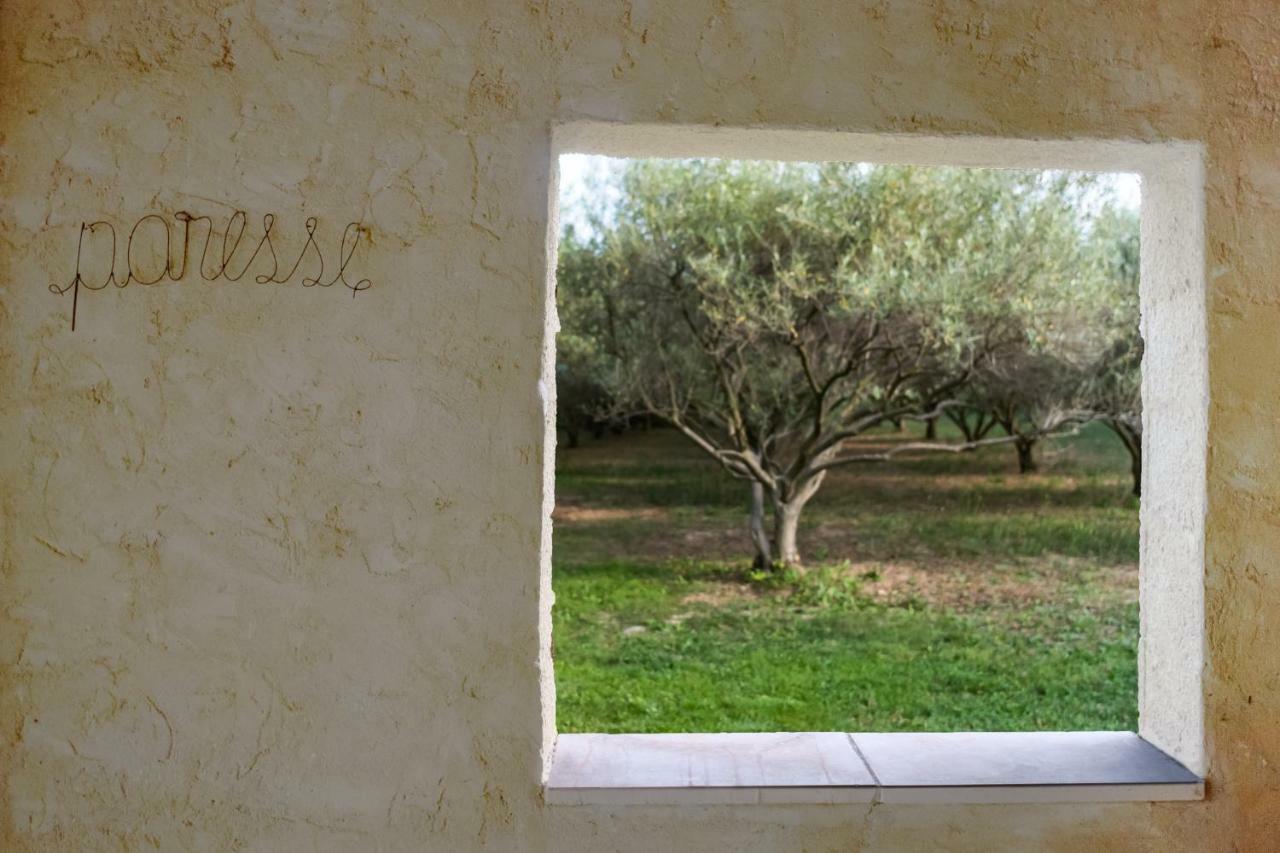 Mas De L'Arrivette Bed & Breakfast Saint-Genies-de-Comolas Luaran gambar